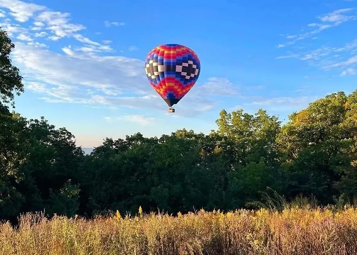 Olive Tree Hébergement de vacances *